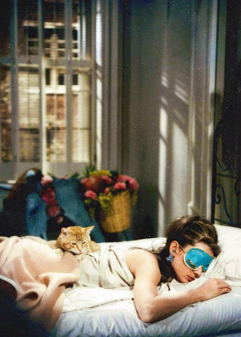 Cats in Film: From Breakfast at Tiffany's to the Leading Role