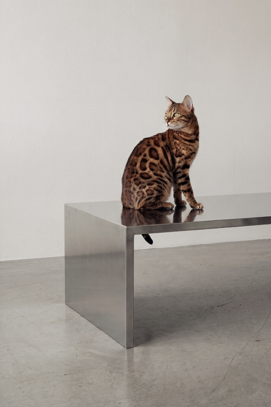 The Science Behind Elevated Cat Bowls