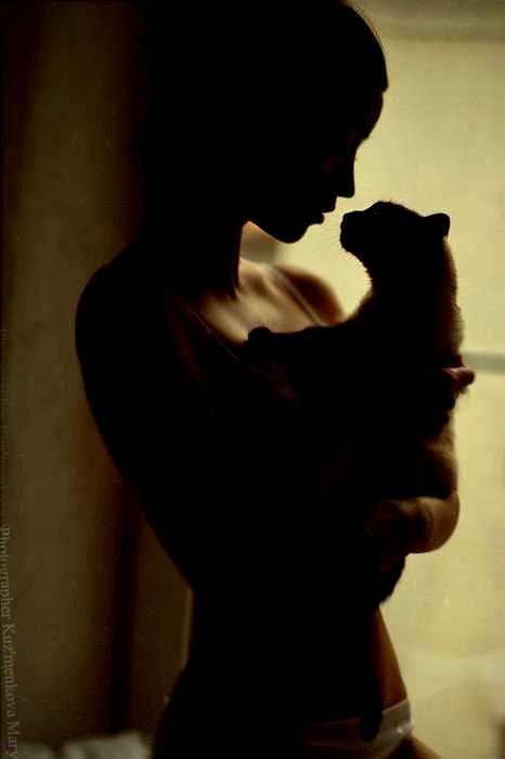 The History of Women and Cats: From Goddesses to Witches to Modern Day